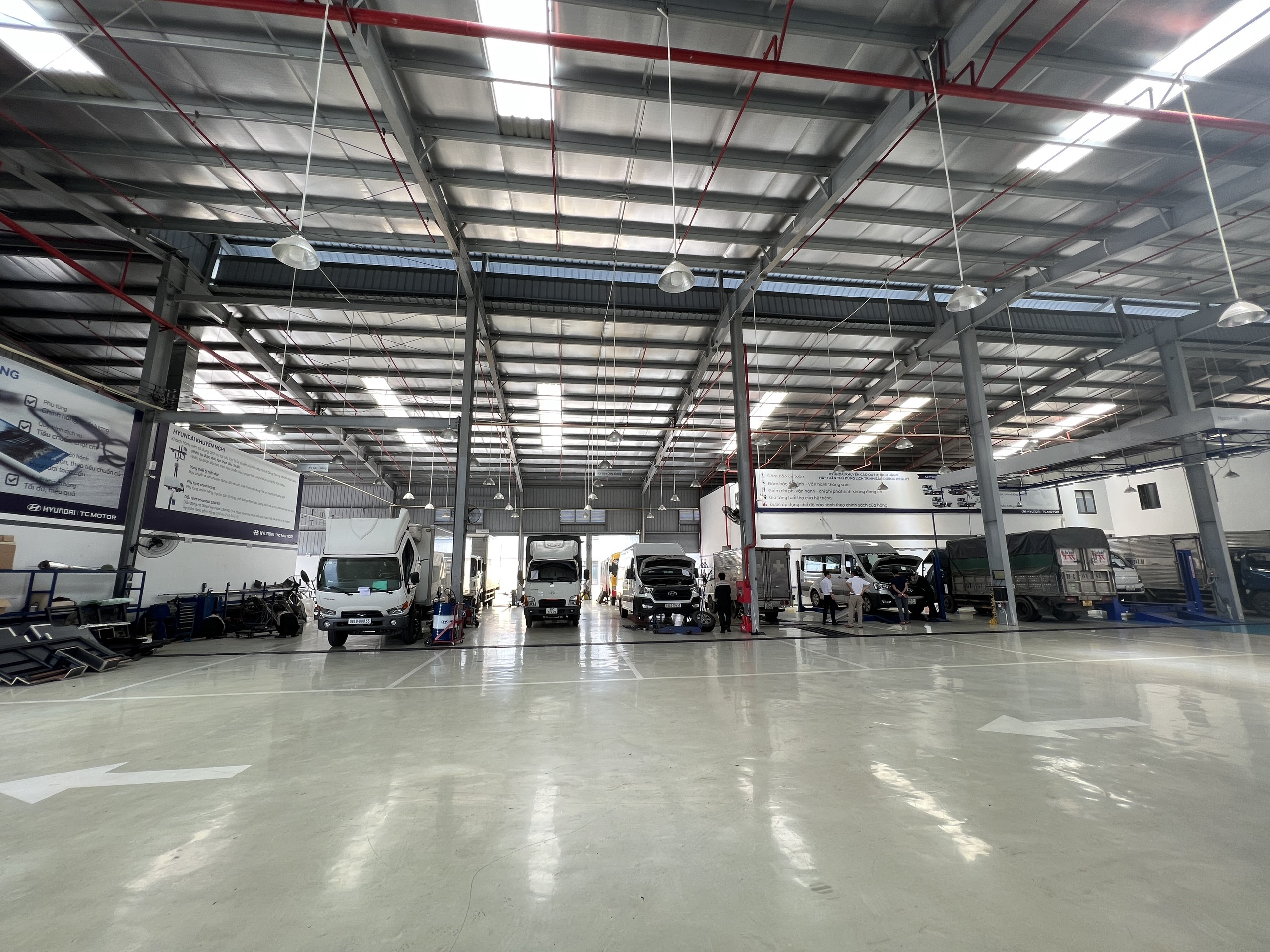 lĩnh vực hoạt động